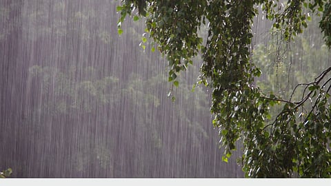 Maharashtra Rain Update