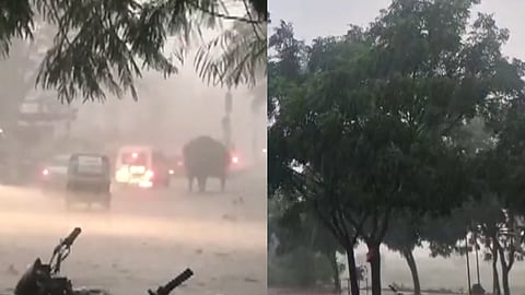 Heavy Rains Expected in Vidarbha for the Next Four to Five Days