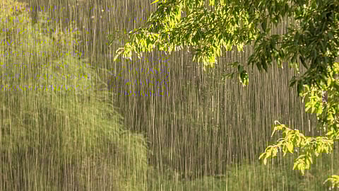 Rain Intensity Expected to Decrease Across All Districts of the State