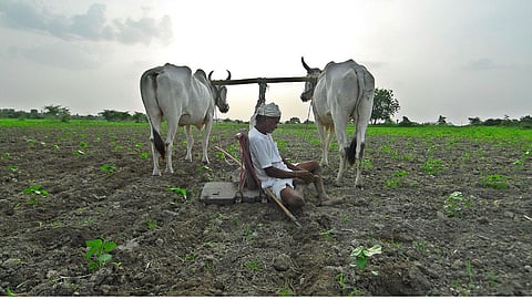 The Grim Reality of Farmer Suicides in Maharashtra; Shocking NCRB Report