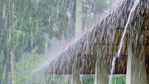 Rains Likely to Continue in the State Till December 