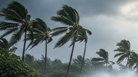 Cyclone Shakhti: Heavy Rains Return to the State; IMD Issues Warning for These Districts