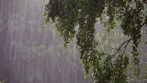 Maharashtra Weather Update : monsoon likely to withdrawal from maharashtra
