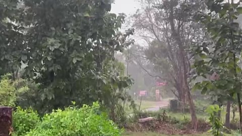 Unseasonal Rains Continue in Sindhudurg; Yellow Alert Issued for the District