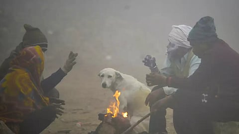 Winter Weather : Cold to increase in the state, chill likely to persist for the next five days
