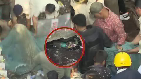 Kolhapur Leopard: Big News! Forest Department Team Succeeds in Capturing Leopard in Kolhapur