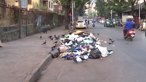 Delay by Contractors in Garbage Collection; Stench Due to Garbage Near Two Hospitals and a School in Byculla