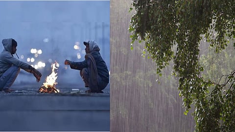 Maharashtra Weather Update: Possibility of Reduced Cold in the State; Heavy Rain Forecast in 'These' Areas