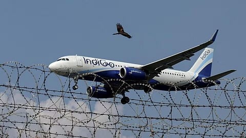 Indigo employees' sudden strike; Flights disrupted at Mumbai airport, major inconvenience to passengers