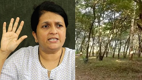 Anjali Damania Support for the movement against Tapovan deforestation, tweeted...