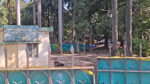 Pune Mundhwa land Case: 21 Crore Notice Sent by Stamp Duty Department Rejected by Amedia Company 