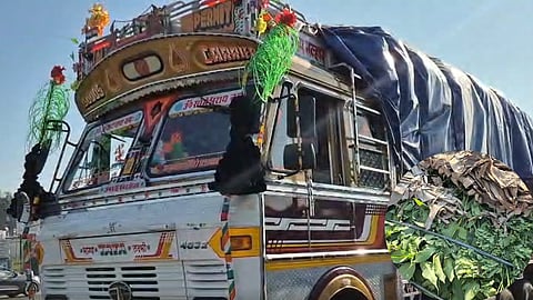 Nashik: 15,000 Trees Arrived in Nashik from Rajmundry; Planting to Begin Tomorrow