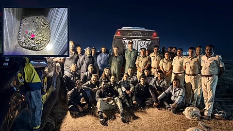 Pune Bibtya: Leopard Roaming in Pune Airport Area Finally Captured