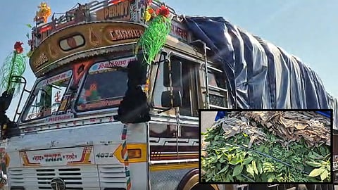 Nashik: Second container of trees from Andhra Pradesh's Rajahmundry arrives in Nashik; 15,000 trees to be planted