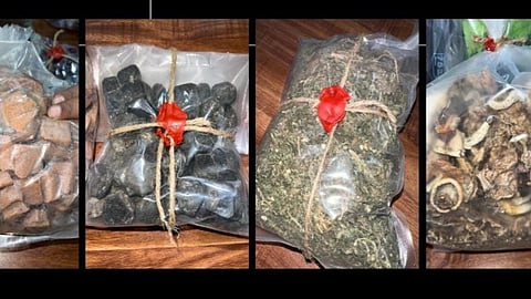 Pune: Pune Police Seize Cannabis Worth Four Crores