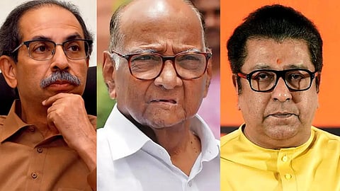 Thackeray Brothers - Sharad Pawar