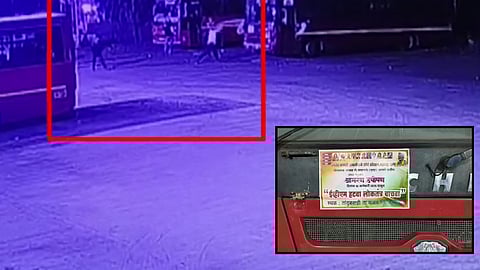 Dharashiv: Three ST buses vandalized by unknown persons 