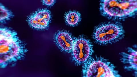Nipah Virus