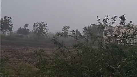 Yavatmal Rain: Warning of Unseasonal Rain in Yavatmal; Guidelines Issued