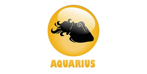 Aquarius : (January 21 - February 18)