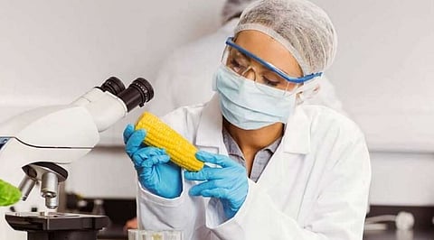 Food Safety Lab, Assam playing crucial role in COVID-19 lockdown