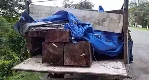 Golaghat forest division seized truck with illegal logs