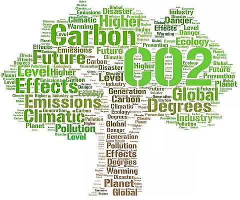 Seven simple habits to make the earth greener