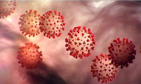 COVID-19 cases in India rise to 2,66,598