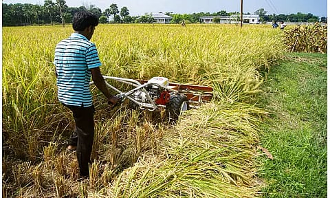 Programme on farm mechanization by demonstrating Mini Combine harvester