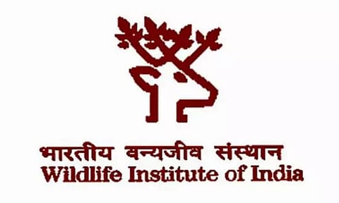The Wildlife Institute of India (WII) recruitment for Research Personal