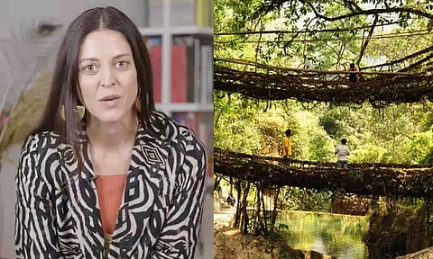 Meghalaya's living root bridges hailed by architect Julia Watson as effective measure against flood