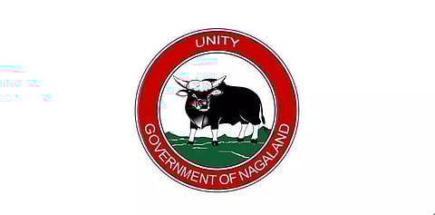 Directorate Of Health And Family Welfare Nagaland Recruitment 2020