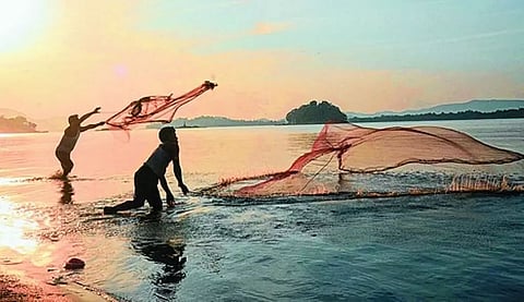 22 major fishery schemes to be implemented in Nagaon
