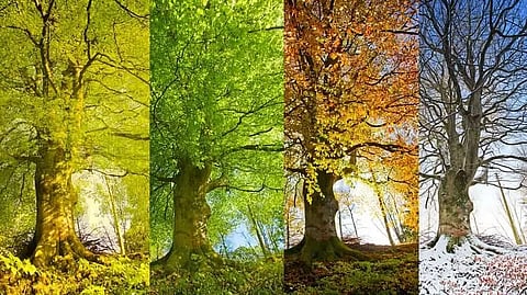 Seasons