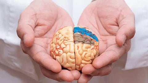 New tool helps predict the risk of death in people with dementia: Researchers