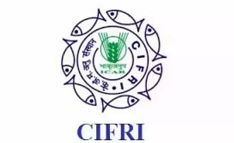 CIFRI Guwahati Recruitment 2021 - 01 Young Professional I Vacancy, Latest Jobs