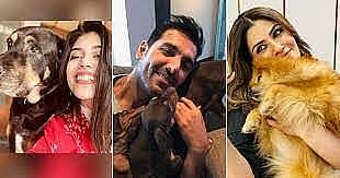 B-Town turns to pals with paws to battle lockdown blues
