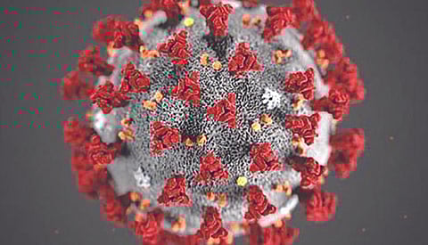 Recoveries outnumber daily COVID cases 3rd time in 4 days