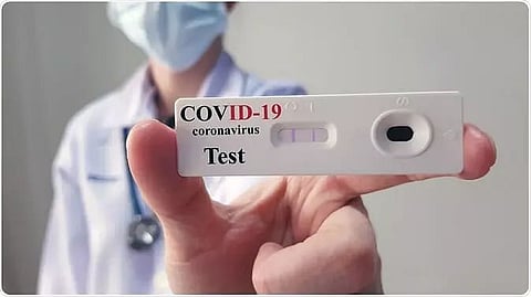 COVID antibody test system for animals