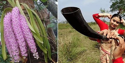 A lifeline for the Assamese