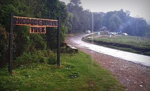 Rhododendron trek opened in Shillong