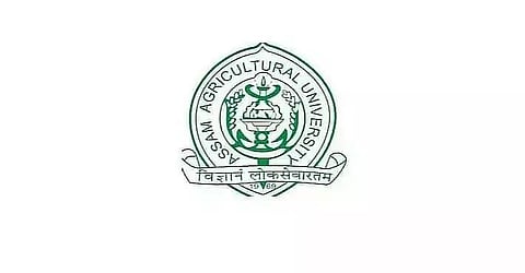 Assam Agricultural University Recruitment 2021 - Young Professional -II Vacancy, Job Openings
