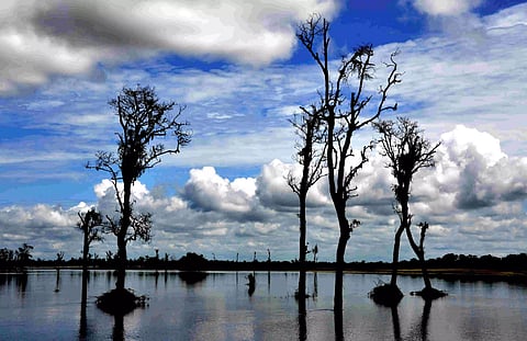 Dibru Saikhowa National Park, Why Is It Famous And Important Segments For UPSC
