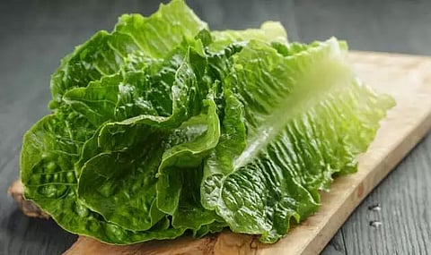 Check out the health benefits of lettuce