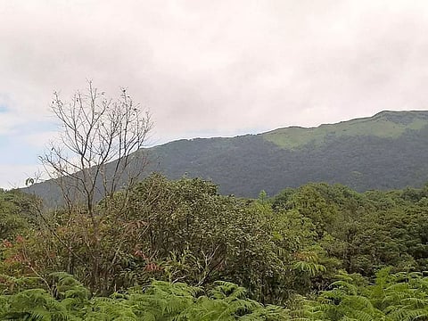 Demarcation of Forest areas demanded in Arunachal Pradesh