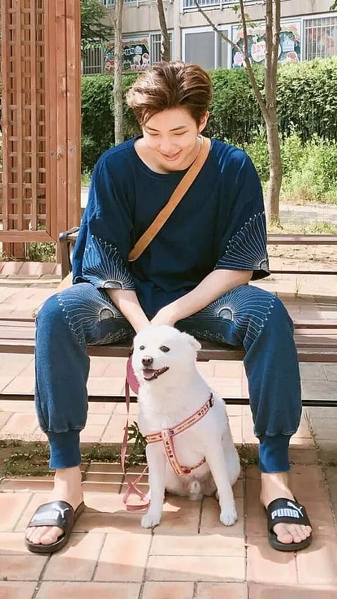 BTS ARMY with pet