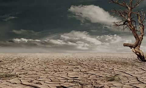 Climate change and food security