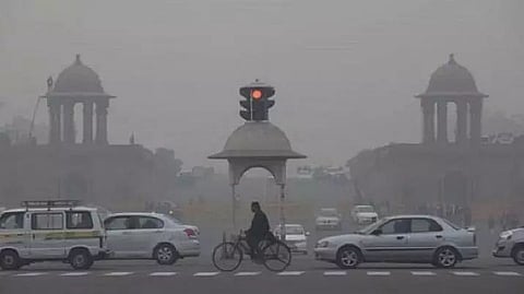 'Big cars, bureaucratic inertia, blaming farmers'