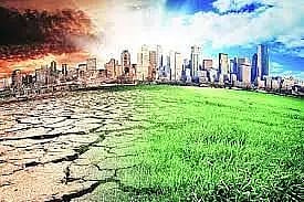Anteing up the climate resilience