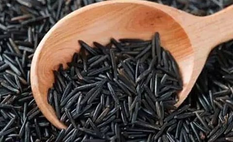 Black rice production in Assam